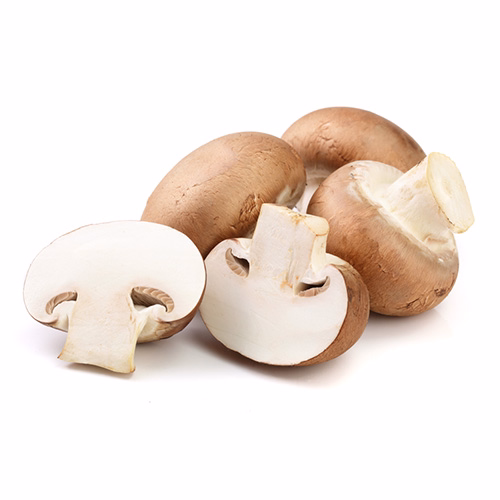 Mushroom Brown 250g Netherlands